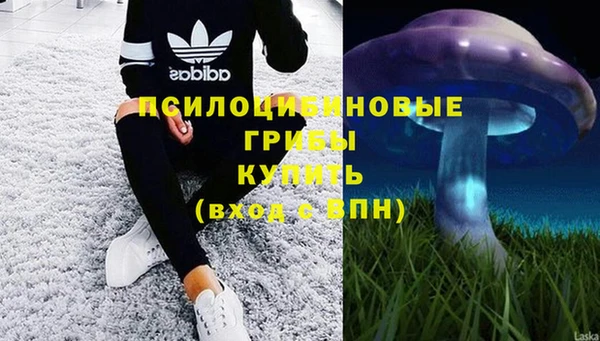 дмт Козельск