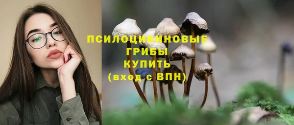 мескалин Козловка