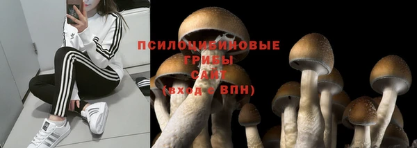 мескалин Козловка