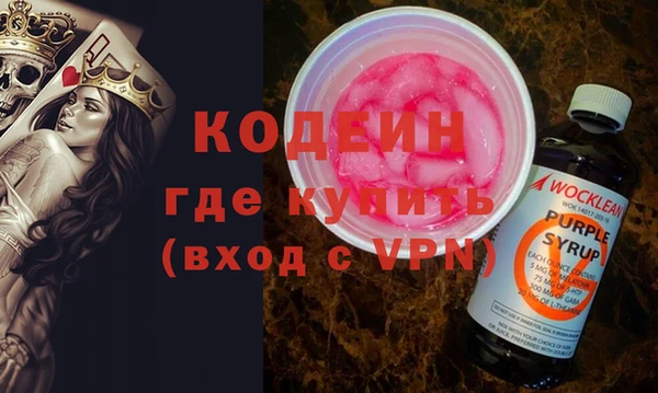 хмурый Кодинск