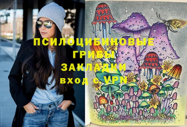 мескалин Козловка