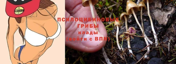 дмт Козельск