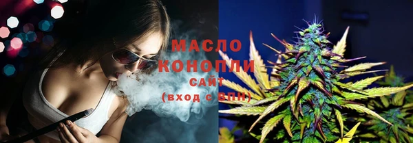 дмт Козельск
